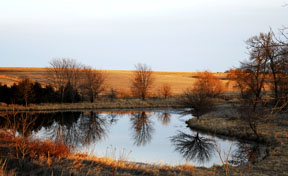 Farm Pond