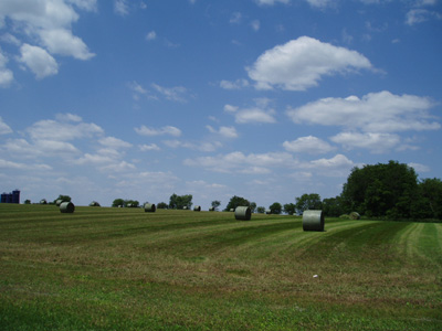 Hay Bales